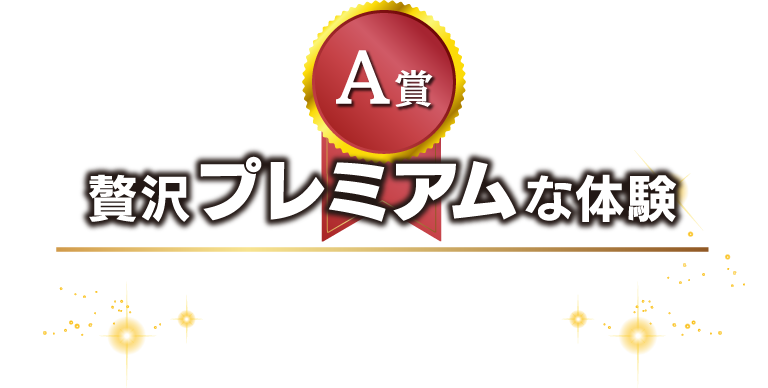 A賞 贅沢プレミアムな体験 ホテルペア宿泊券